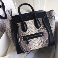 celine 全部包型